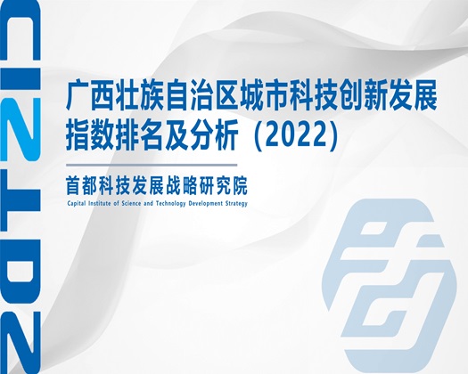 操大骚逼片【成果发布】广西壮族自治区城市科技创新发展指数排名及分析（2022）